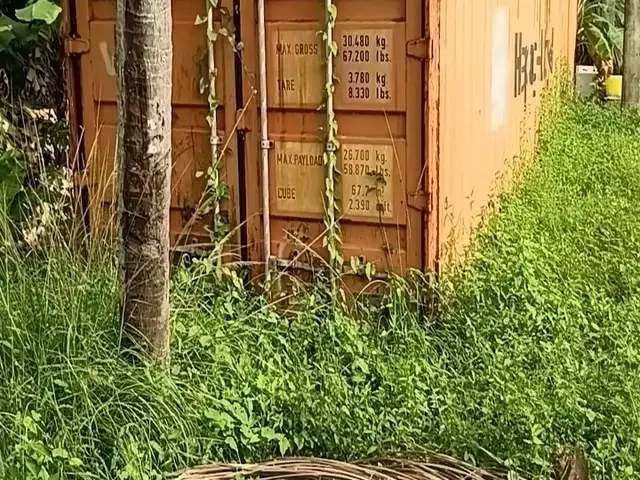 container, Tableland