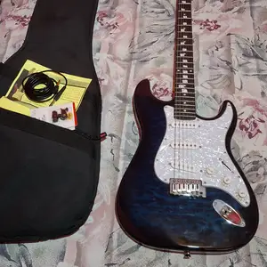 Electronic Guitar & Accessories, Diego Martin