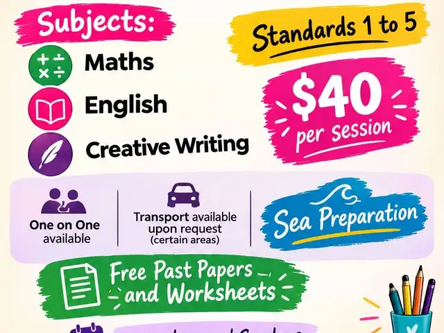 TUTORING/ EXTRA LESSONS, San Fernando