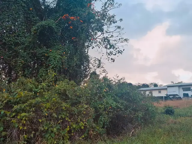 Residential land 19507 sq.ft, Rio Claro