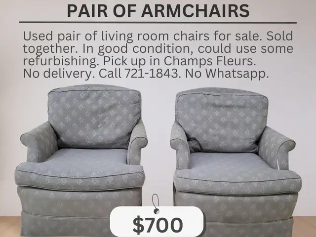 Pair of Armchairs, Champs Fleurs
