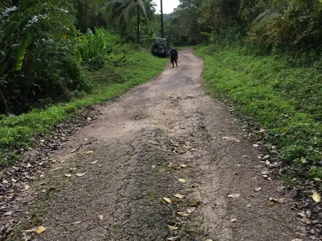 Agricultural land sq.ft, Sangre Grande