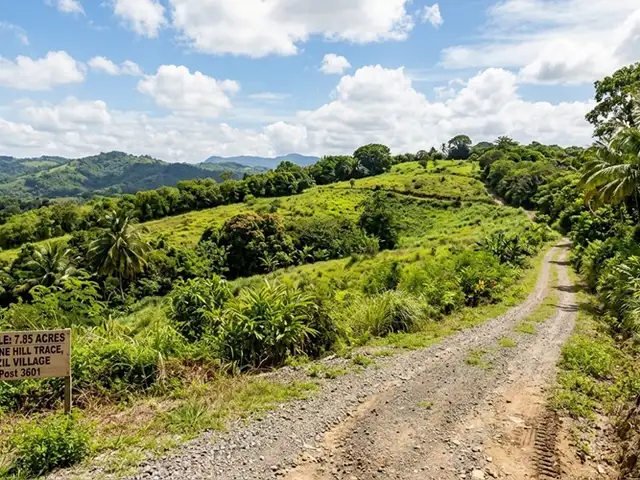 Agricultural land 341946 sq.ft, Talparo