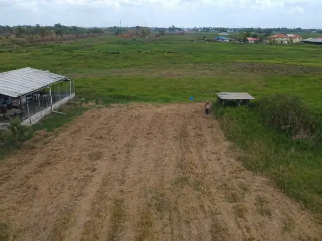 Agricultural land 5000 sq.ft, Cunupia