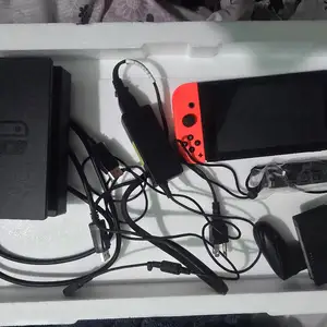 Nintendo Switch, Santa Cruz