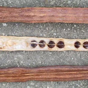 Sahjan Pods, Chaguanas