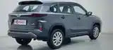 TOYOTA HYRIDER, Piarco - 3