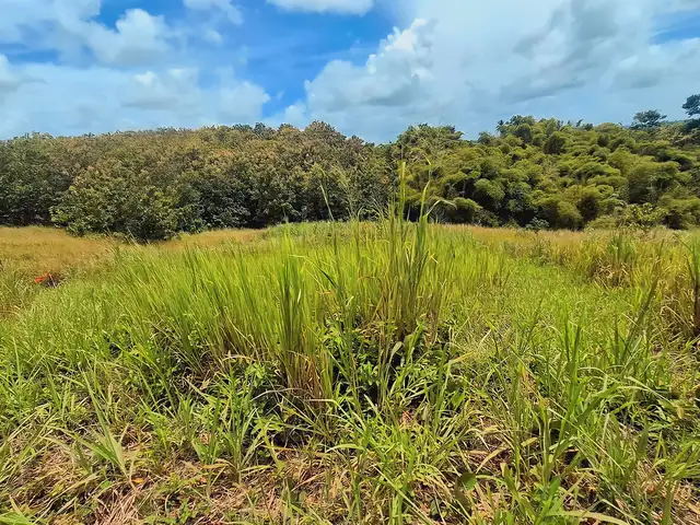 Residential land 466 sq.ft, Princes Town