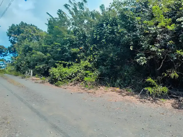 Residential land 217800 sq.ft, Moriah