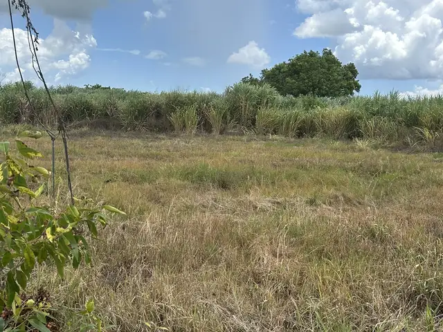 Residential land 5865 sq.ft, Endeavour