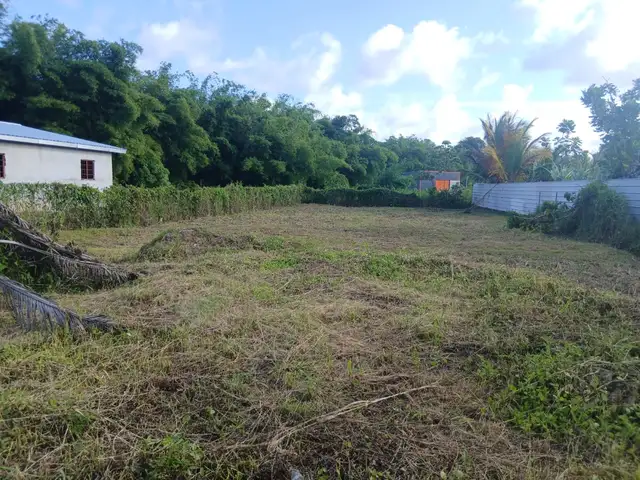 Residential land 10000 sq.ft, Sangre Grande