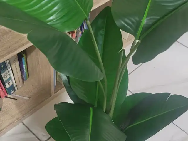 ARTIFICIAL PALM PLANT, San Fernando