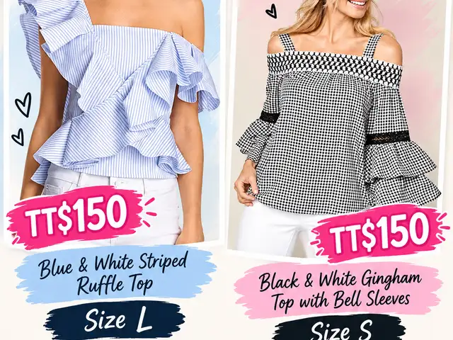Stylish Ladies Tops, La Romain