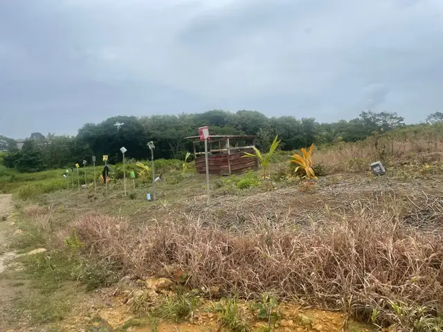 Residential land 6000 sq.ft, Princes Town