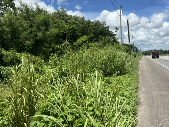 Commercial land 566280 sq.ft, Claxton Bay