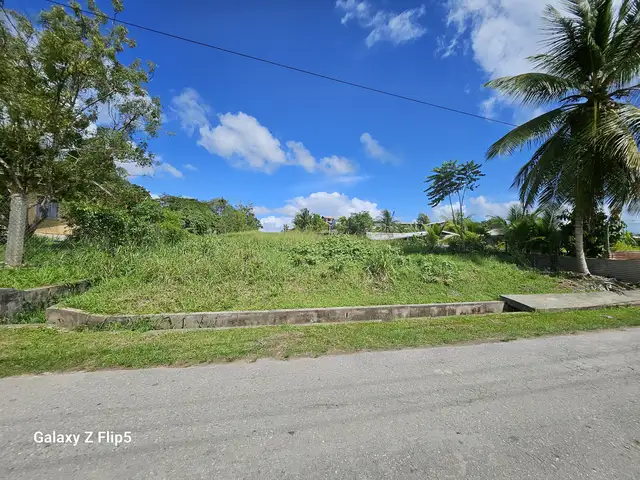 Residential land 43560 sq.ft, Penal