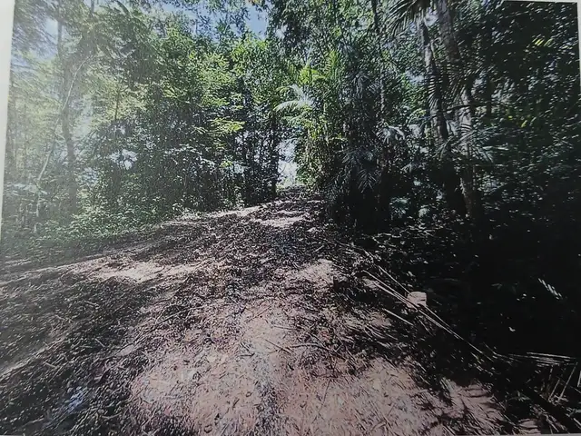 Agricultural land sq.ft, Sangre Grande