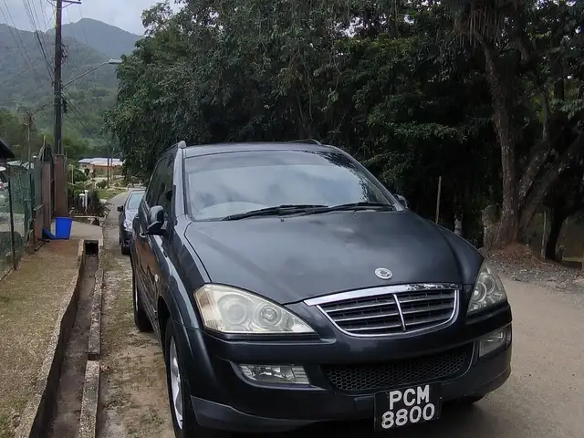 Cars for sale SsangYong, 2008, Kyron, St. Joseph
