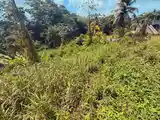 Residential land 21780 sq.ft, Sangre Grande - 4
