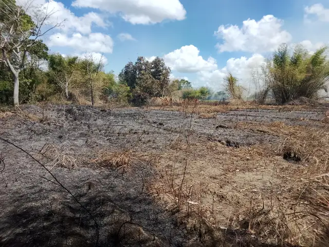 Residential land 5000 sq.ft, Cunupia