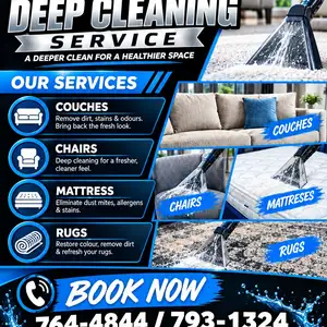 PRICELESS DEEP CLEANING, Arima