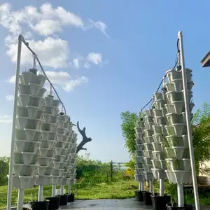 Hydroponic System, La Romain