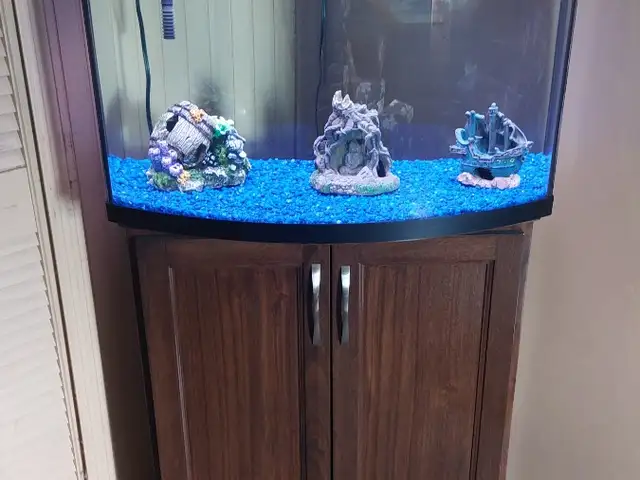 Aquarium fully functional, Caroni