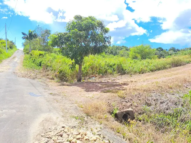 Agricultural land 396396 sq.ft, Penal