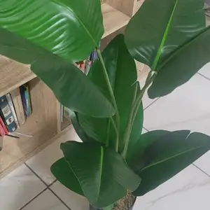 ARTIFICIAL PALM PLANT, San Fernando
