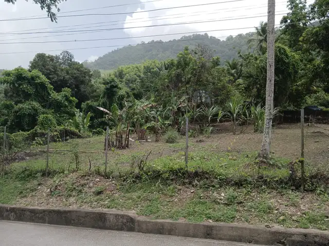 Residential land 4611 sq.ft, Petit Valley