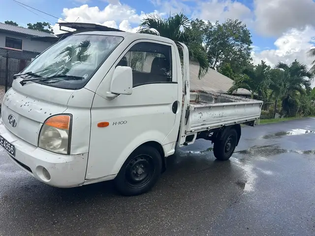 Hyundai H100