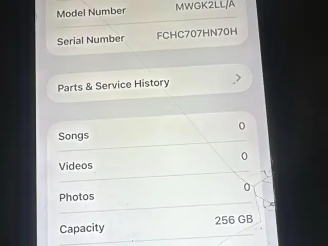 iPhone 11 Pro Max, Petit Valley