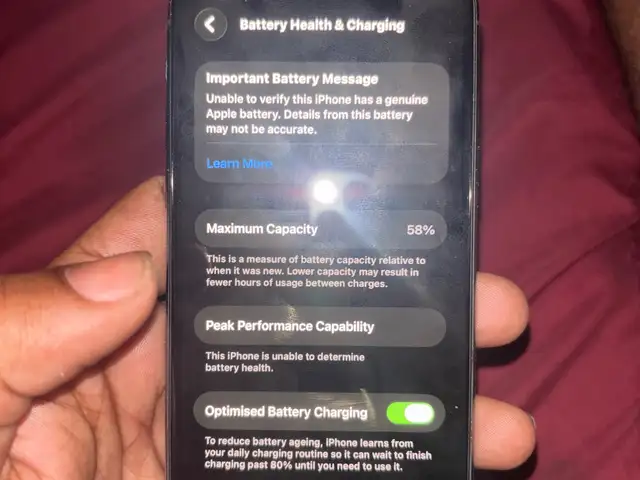 iPhone 11 Pro, Gasparillo