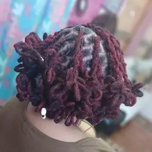 Braids/ Locs/ Weaves/ Wigs/ Colors/Grey Coverage/ Clarifying Wash & Treatments, Bon Accord