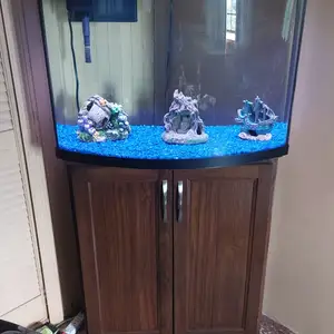 Aquarium fully functional, Caroni