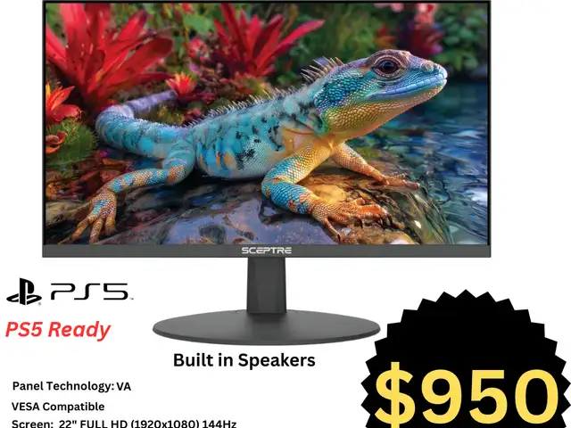 Sceptre 22inch Gaming Monitor, St. Augustine