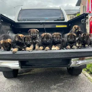 8k negotiable for the long coats and 6k for short coats, Chaguanas