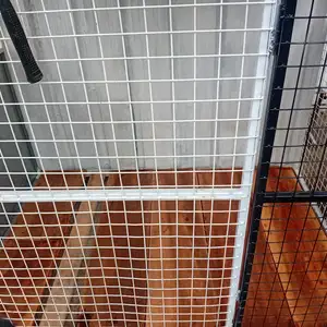 XL Dog kennel, Cunupia