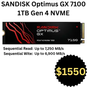 Sandisk GX 7100 1TB NVME, St. Augustine