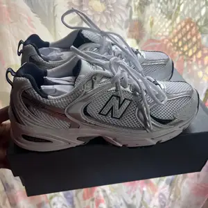 New Balance 530, Santa Cruz