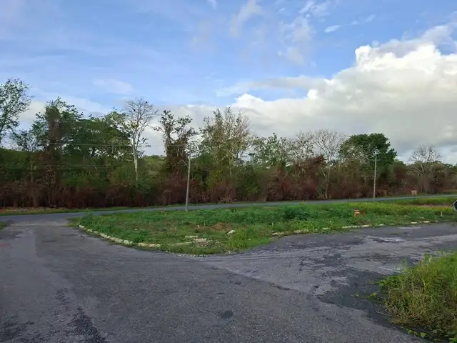 Residential land 5339 sq.ft, Debe