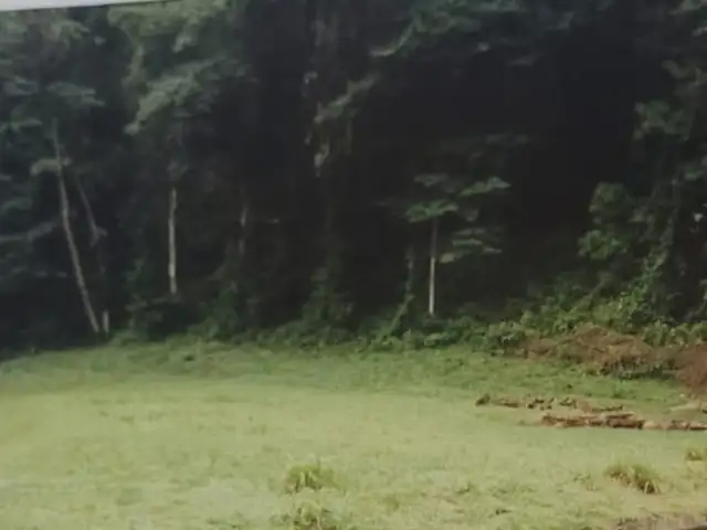 Residential land 40000 sq.ft, Santa Cruz